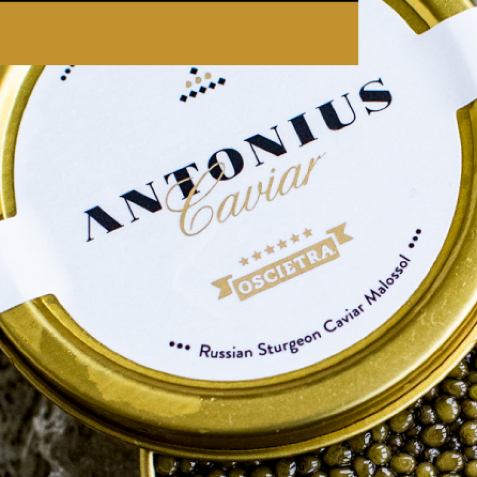 Skill-Up Seminar: Caviar Workshop: Ιωσήφ Πετρώφ presents Antonius Caviar